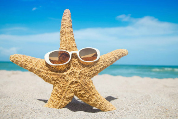 Starfish 2 Angela Hou