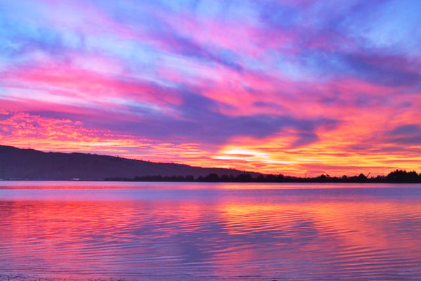 sunset 4 Angela Hou