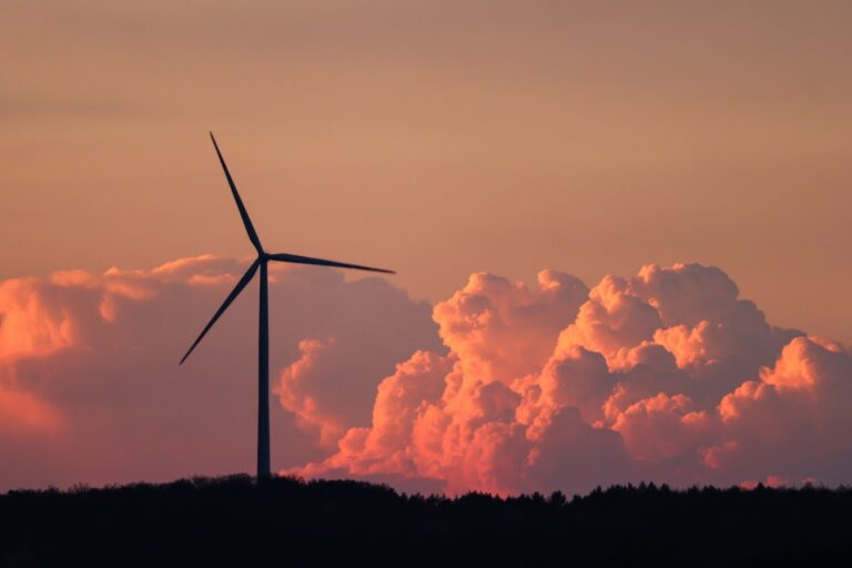 Windmill Angela Hou